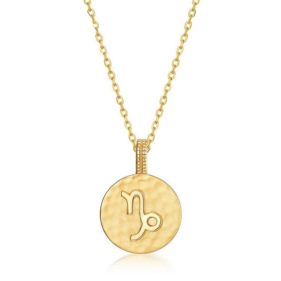 Zodiac Sign Coin Necklace, 12 Constellation Pendant, 10K Gold Plated